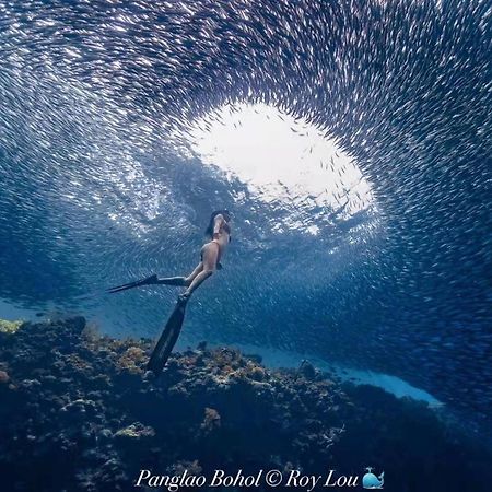 Ultra Mint Dive Resort Panglao Kültér fotó