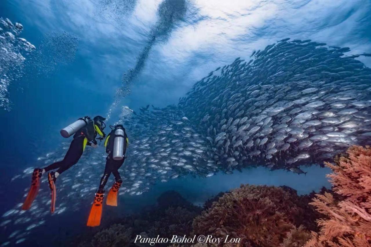 Ultra Mint Dive Resort Panglao Kültér fotó