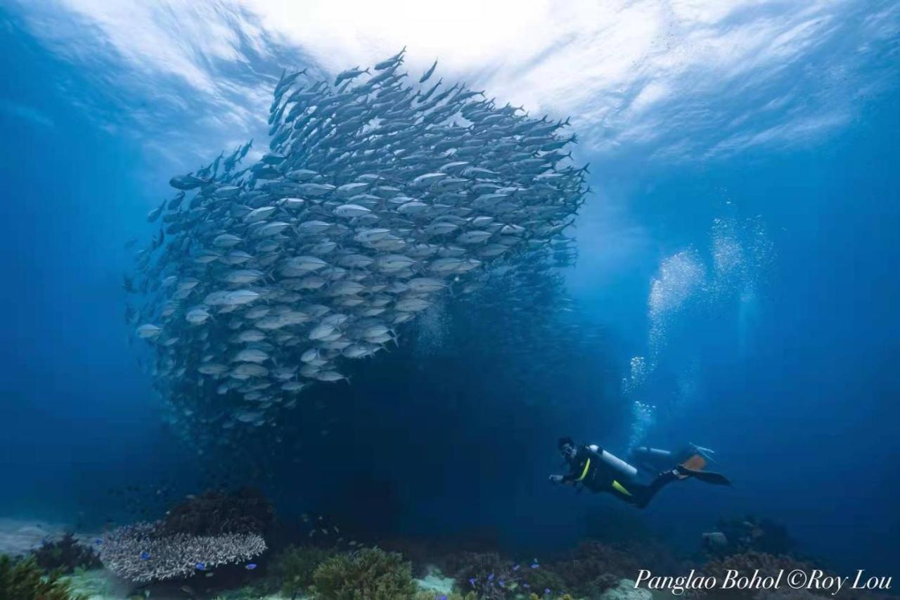 Ultra Mint Dive Resort Panglao Kültér fotó