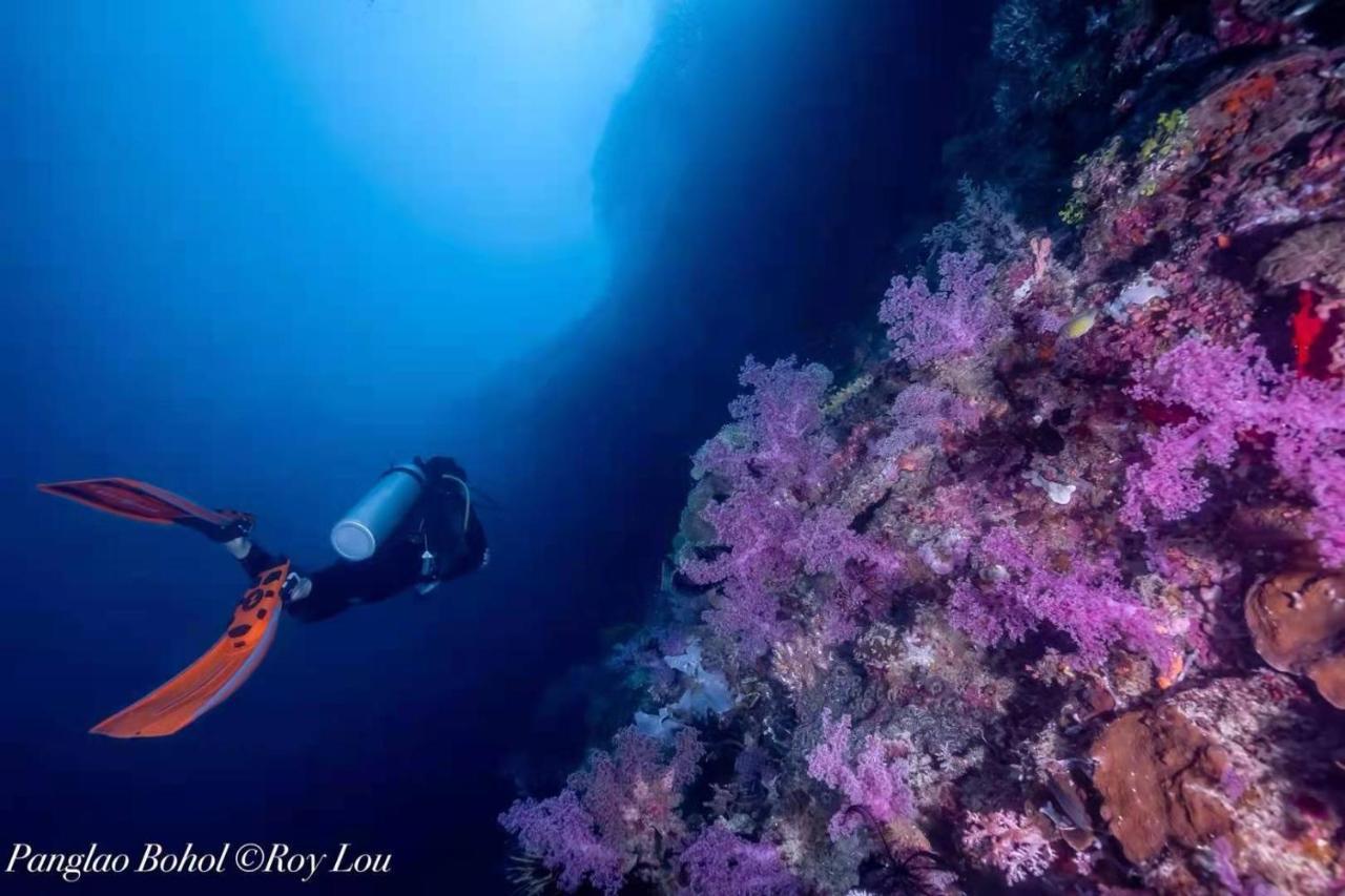 Ultra Mint Dive Resort Panglao Kültér fotó